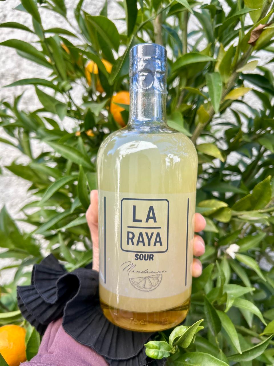 Mandarina Sour